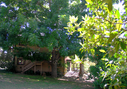 Pyramid Studio