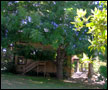Pyramid Studio