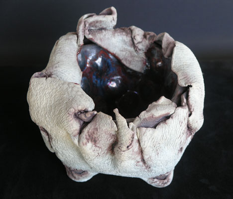 Seed Pod